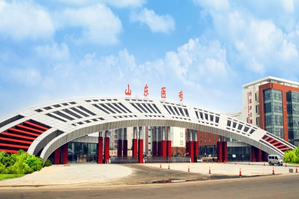 山東醫學高等?？茖W校樓宇智能化系統項目